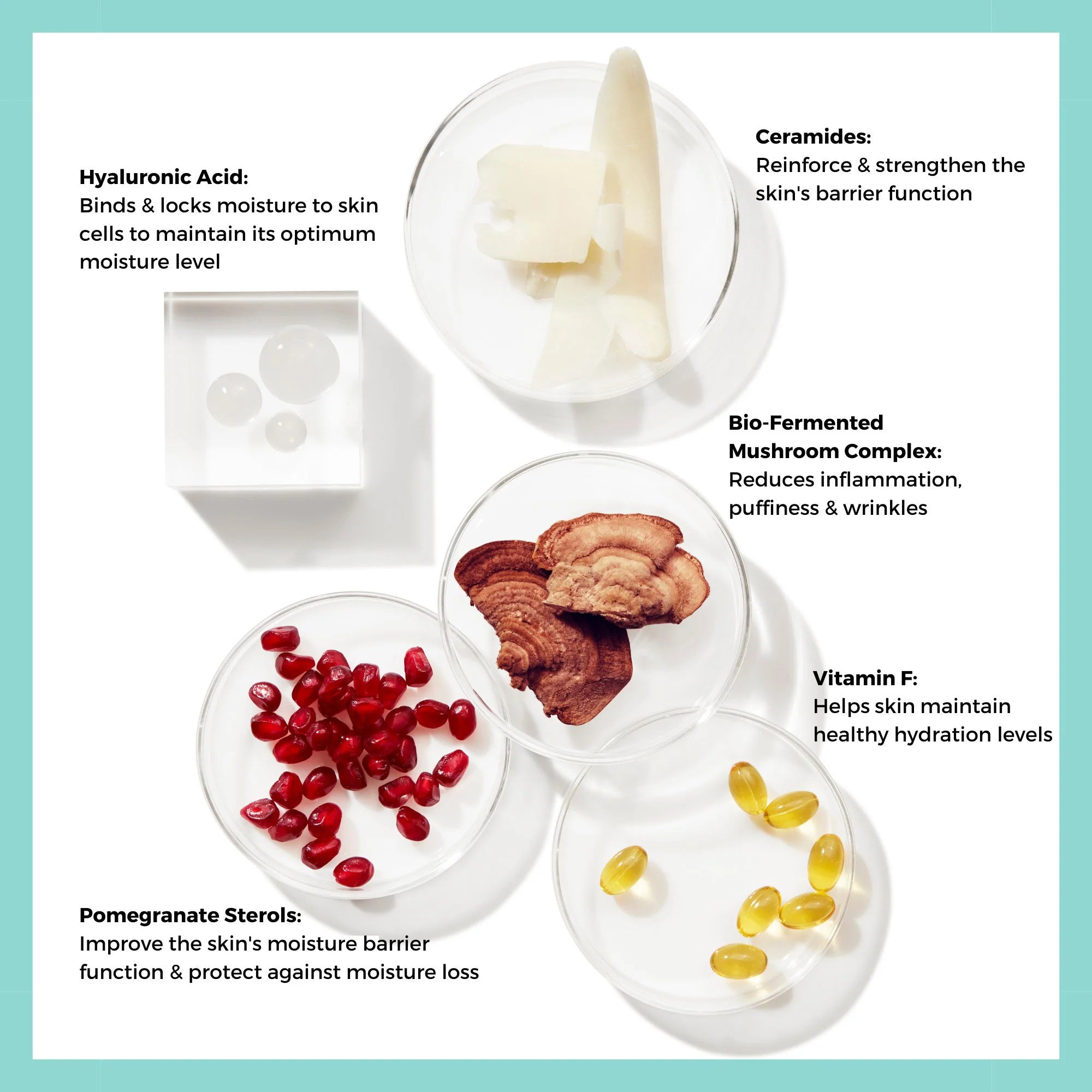 Universal Moisturizing and Nourishing Cream